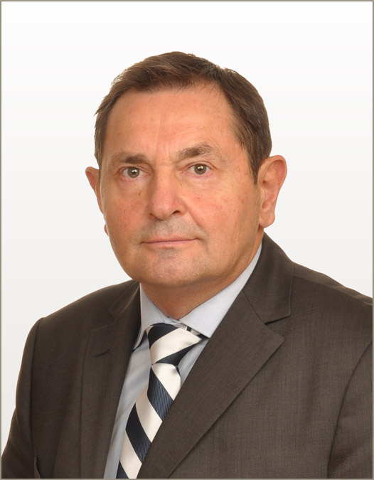 Ladislav Hafner - Odvetnik in upravitelj